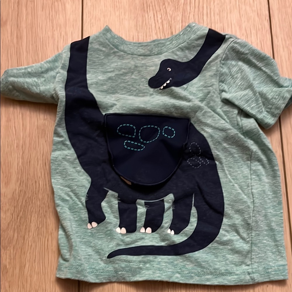 Carter's Green and Black Short Sleeve Tee with Dinosaur Design